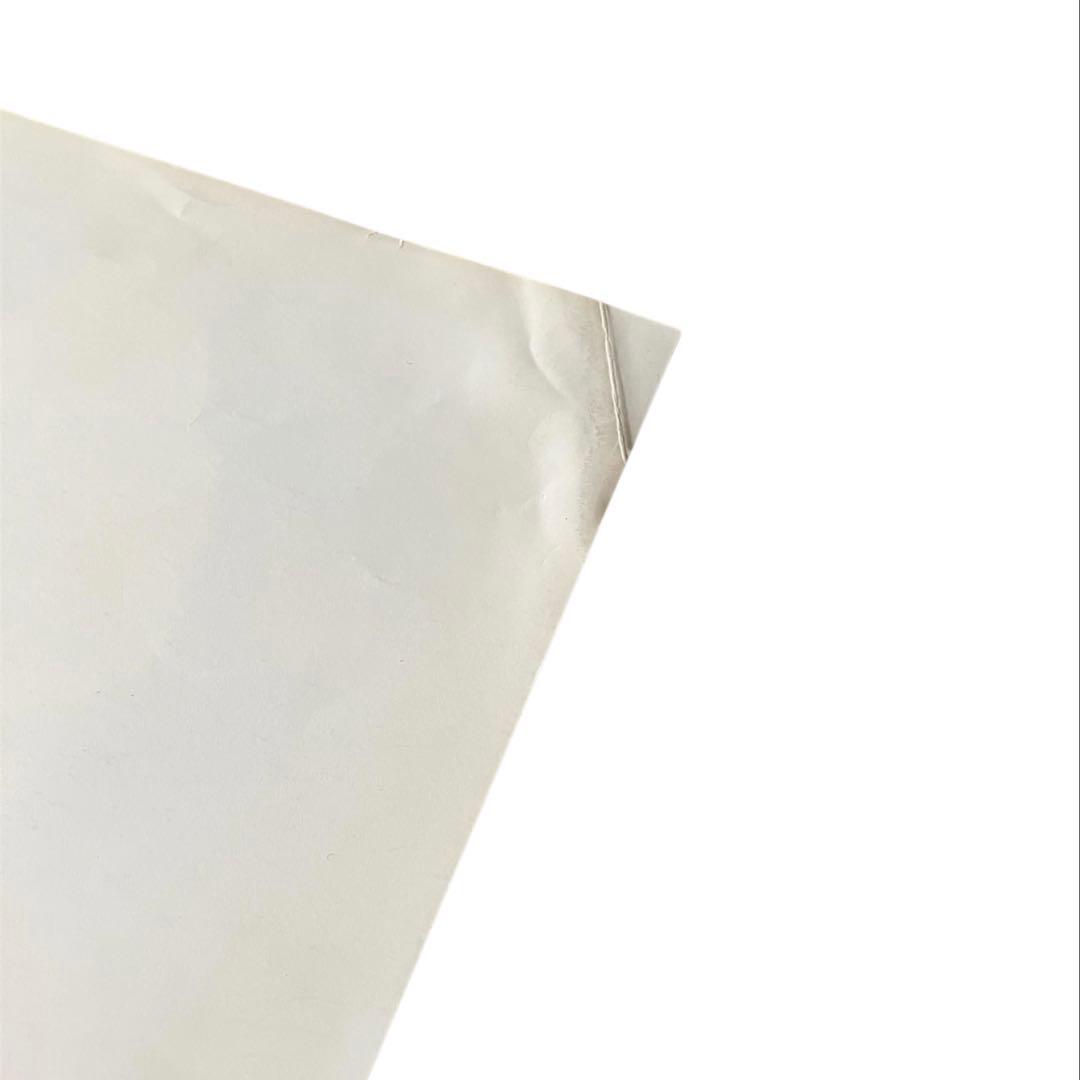 コムデギャルソンオムプリュス カタログ DM 写真集 非売品 川久保玲 4冊