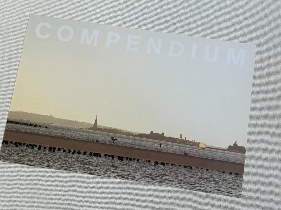 LOU REED'S NEW YORK 写真集 　希少本　ルーリード