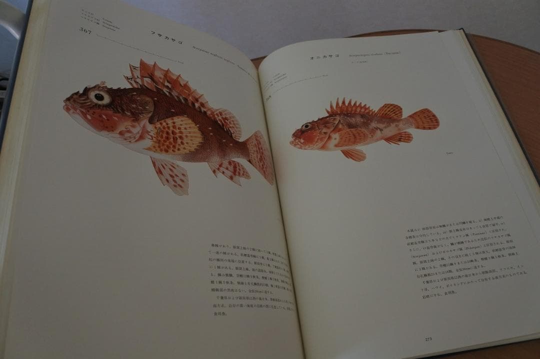日本産魚類大図鑑　檜山義夫　安田富士郎　著　昭和46年初版