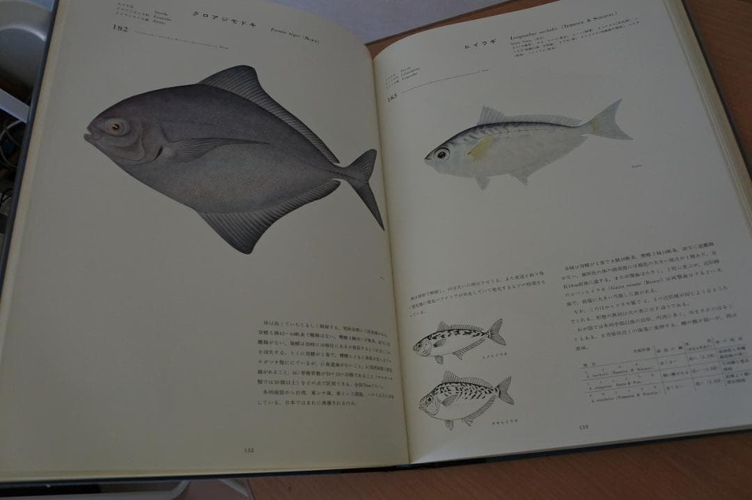 日本産魚類大図鑑　檜山義夫　安田富士郎　著　昭和46年初版
