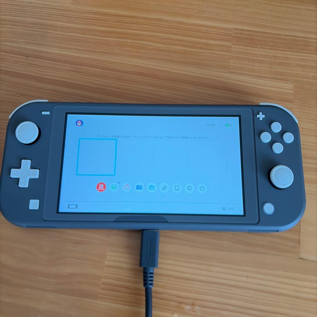Nintendo switch Lite 本体のみ