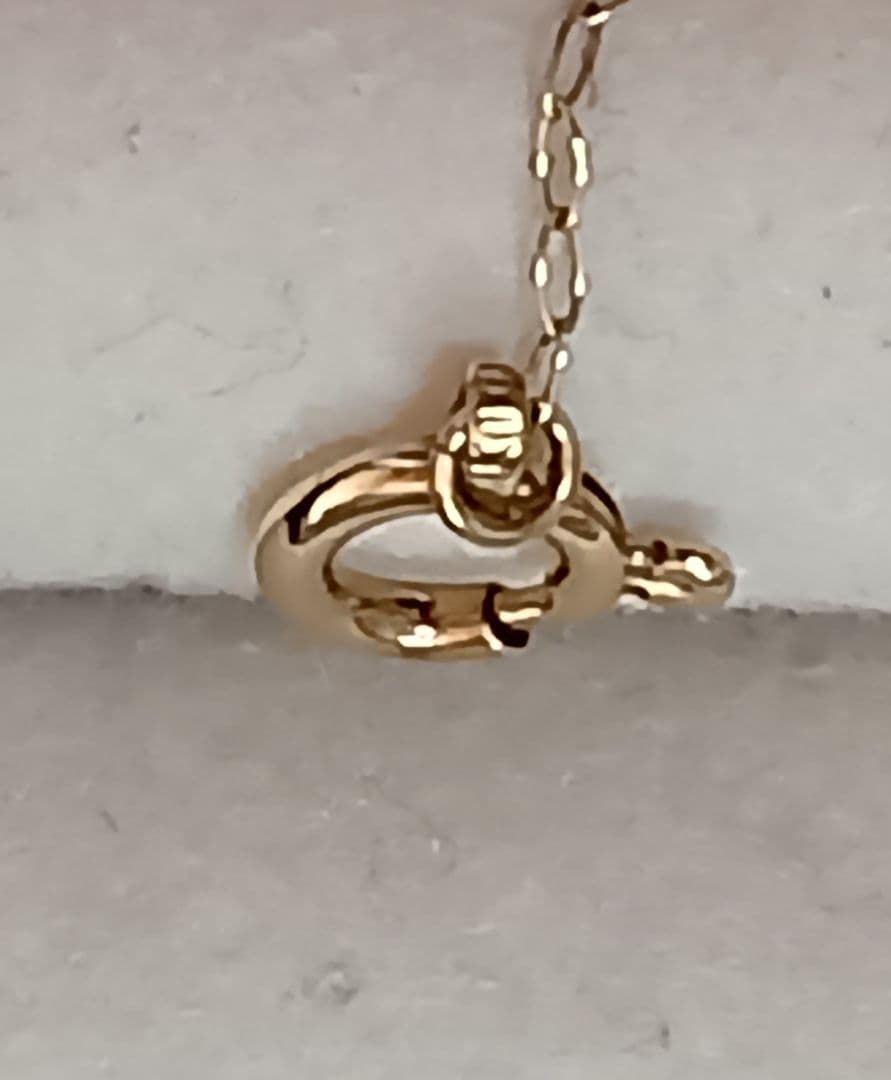 BLOOM　K10ネックレス K10恐竜ネックレス レア廃盤商品　ステゴサウルス