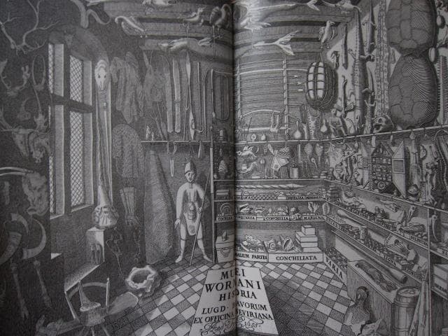 Cabinets of Curiosities　Patrick Mauries