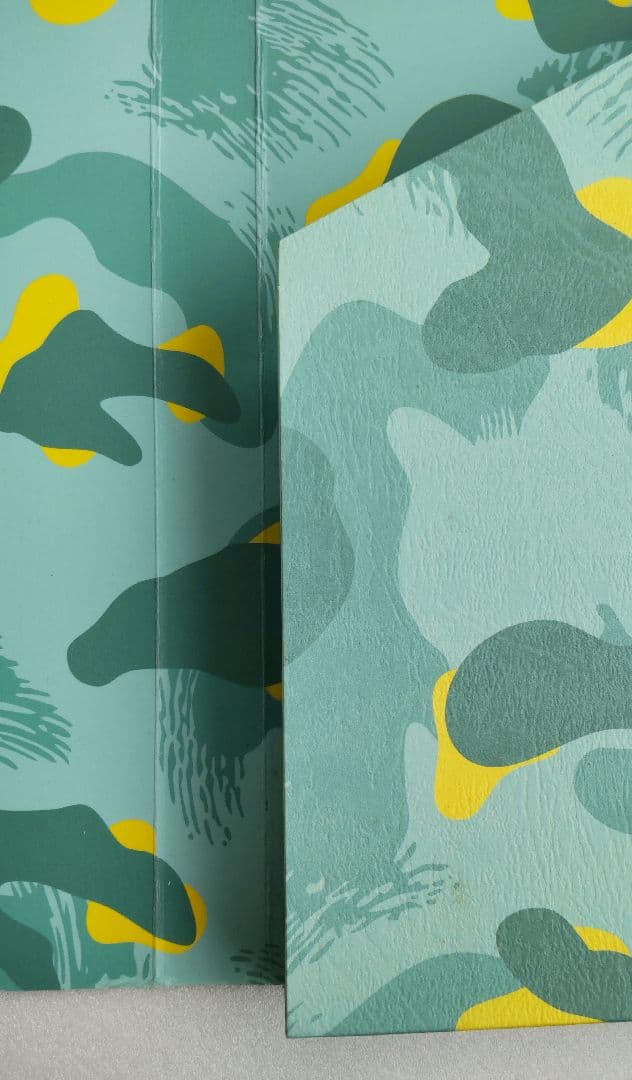 ミュージック BTS NOW IN THAILAND