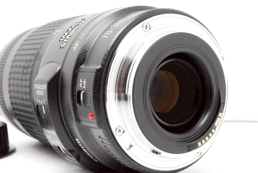 Canon EF 70-300mm F4-5.6 IS USM ✨ 超望遠レンズ
