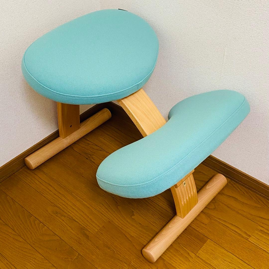 サカモトハウス バランス　チェア イージー balance easy 姿勢矯正