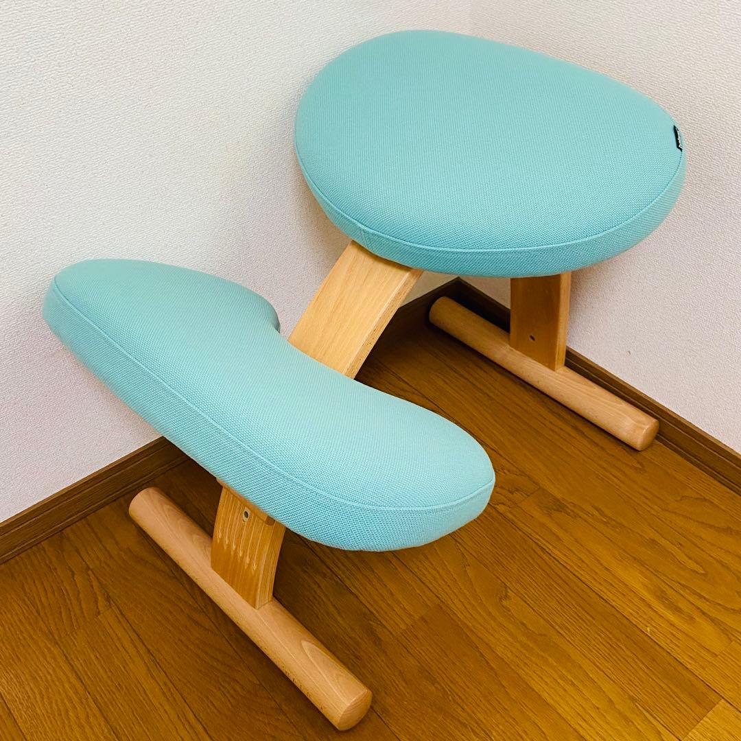 サカモトハウス バランス　チェア イージー balance easy 姿勢矯正