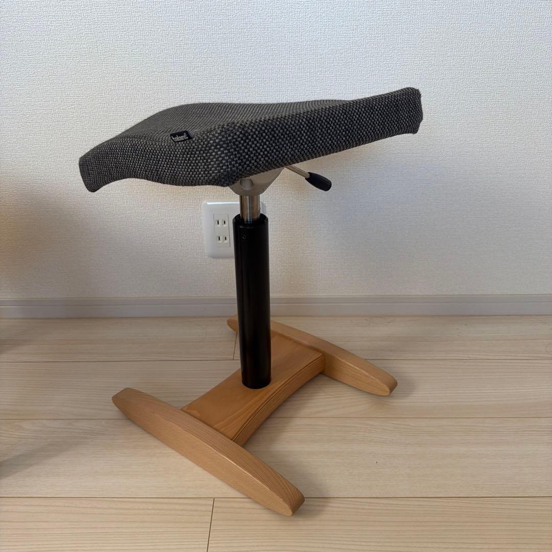 腰痛対策椅子｜バランス シナジー　バランスラボ