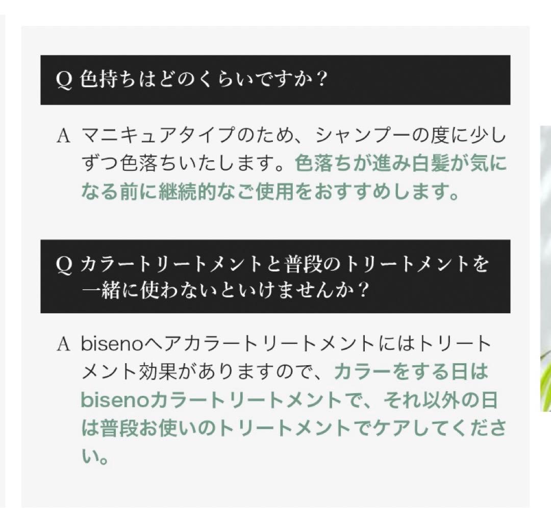 『 b i s e n o 』簡単白髪染　カラートリートメント　ライトブラウン