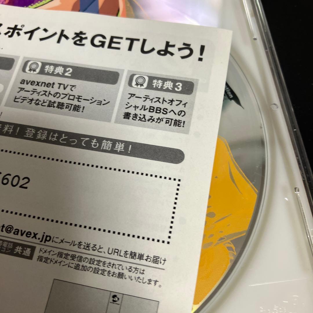 ★良品ナミ(岡村明美) ＆ ロビン(山口由里子)/hurricane girls