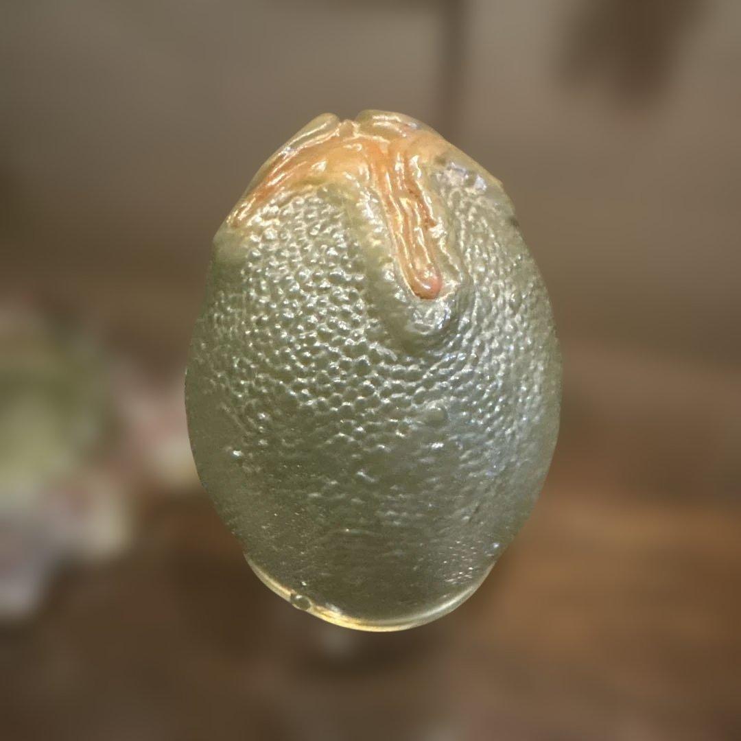 JAP工房 チェストバスター