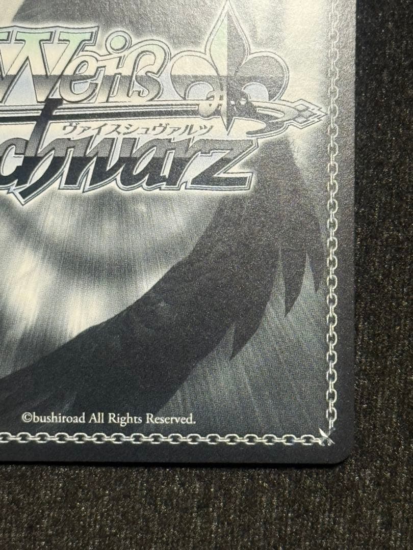 【マグネットローダー付き】ヴァイス　四万十　sp