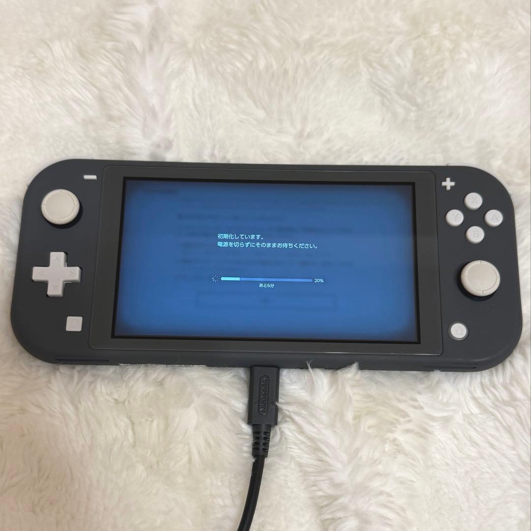 Nintendo Switch Lite グレー あつまれ どうぶつの森 セット