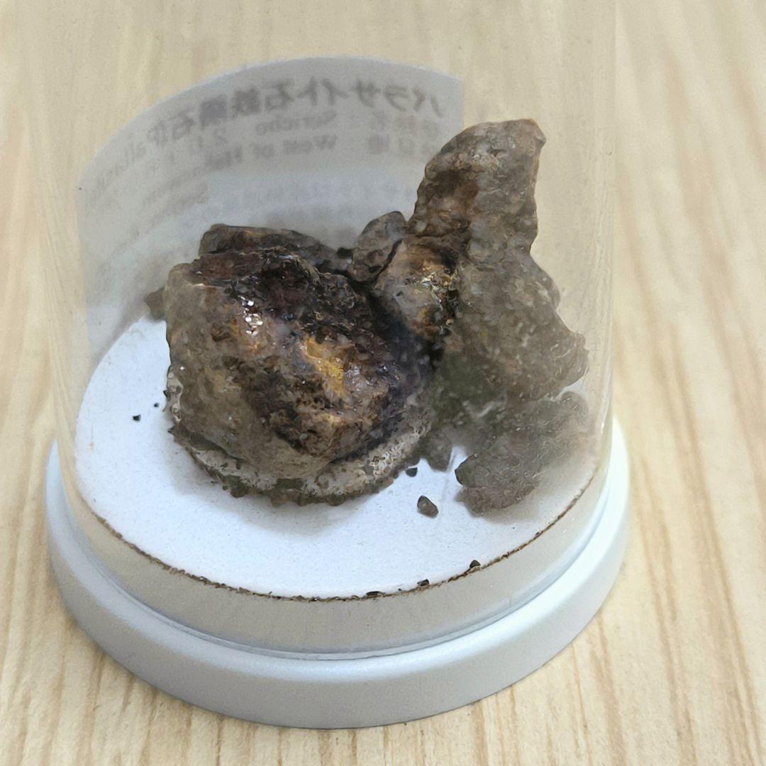 【希少】パラサイト石鉄隕石 (Pallasite) 標本 Sericho