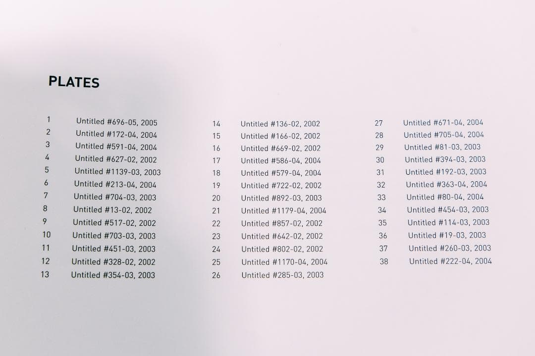 アート・デザイン・音楽 Richard Misrach on the beach