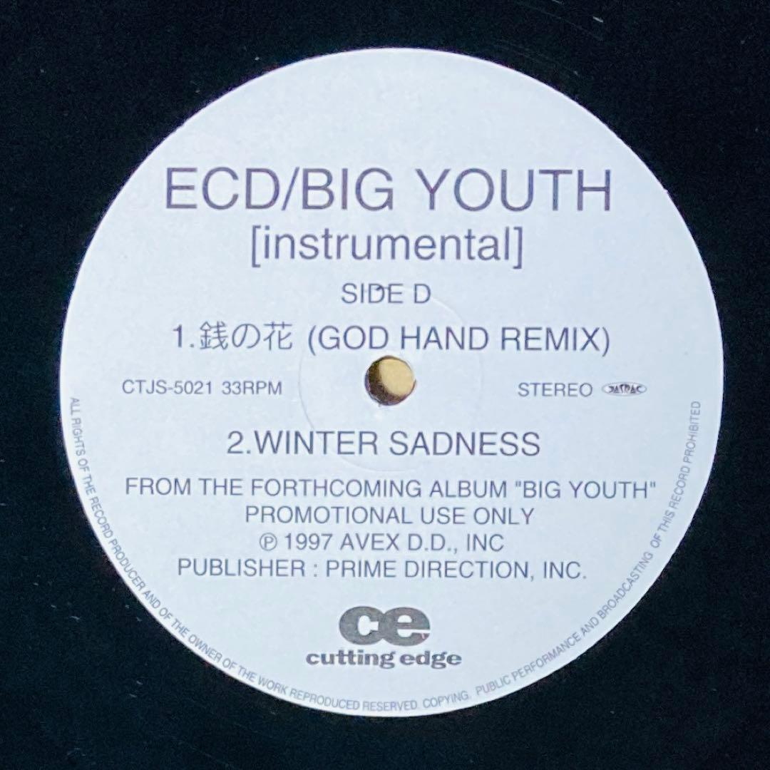 邦楽 BIG YOUTH INSTRUMENTAL / ECD