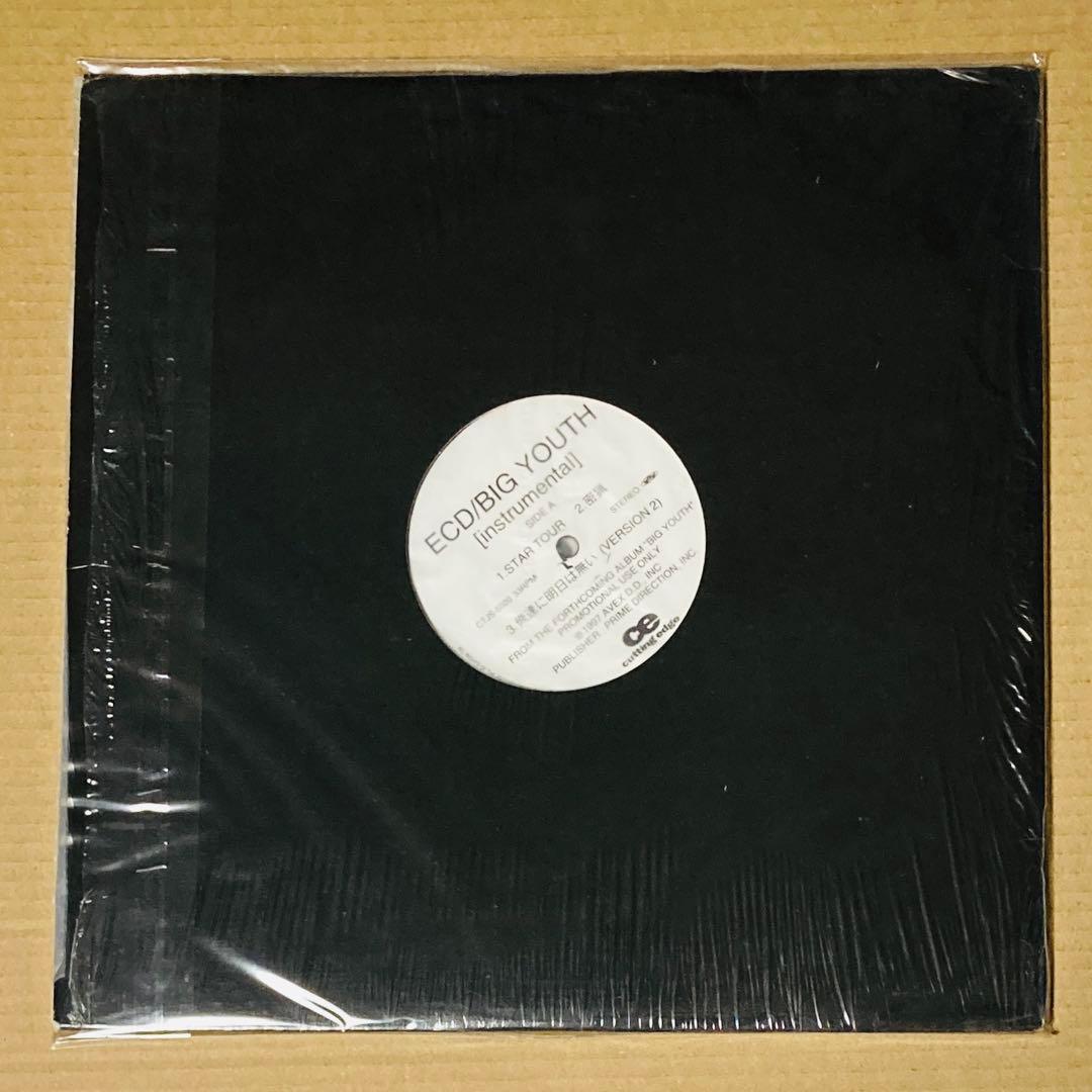 邦楽 BIG YOUTH INSTRUMENTAL / ECD