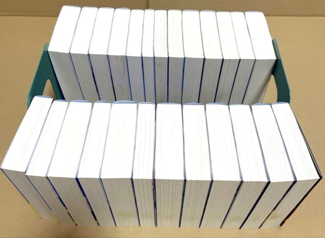 されど罪人は竜と踊る 1〜24巻 + 0.5巻 全巻セット