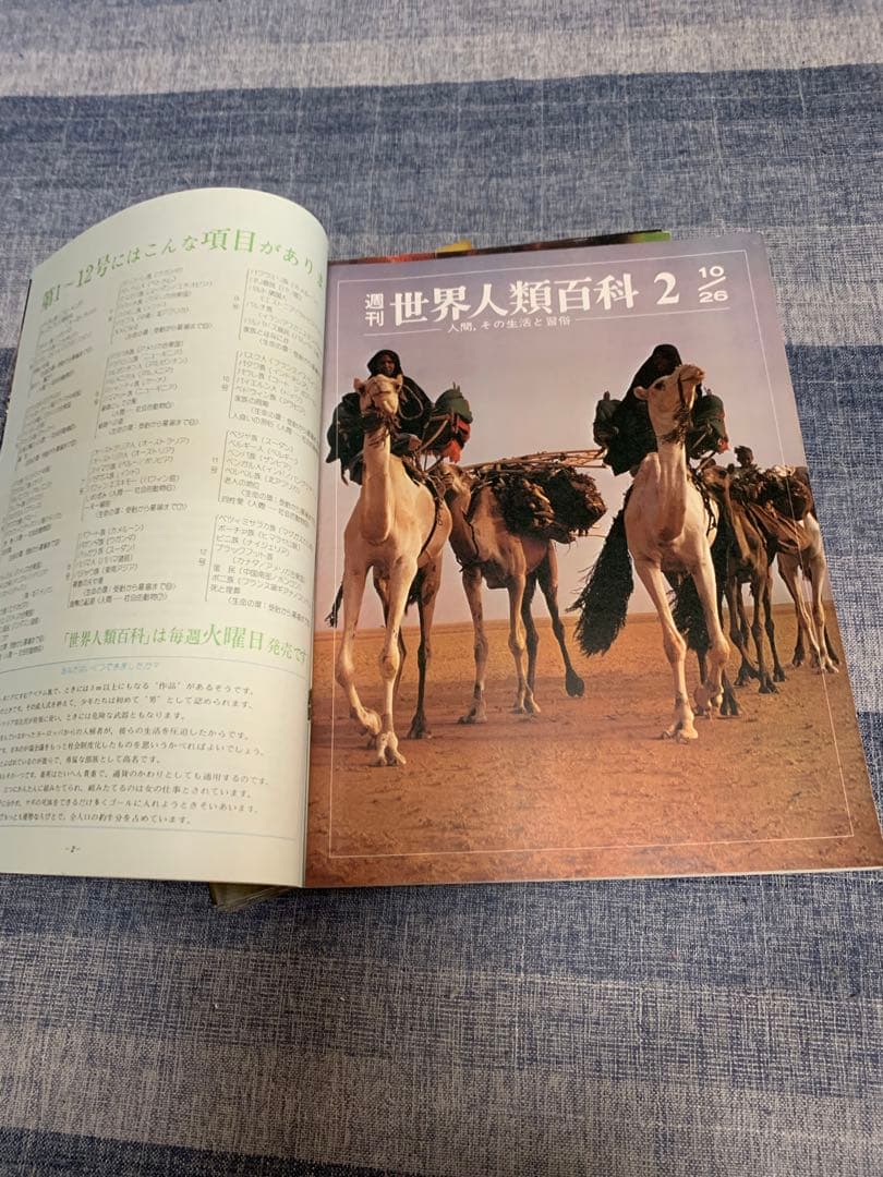 週刊　世界人類百科　第1号〜33号