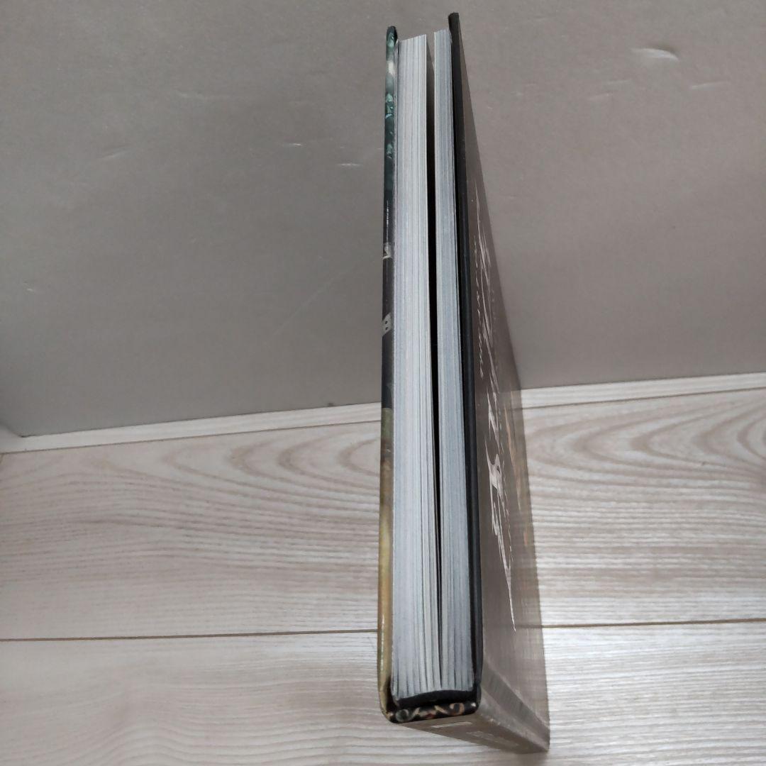 アート・デザイン・音楽 THE ART OF ALICE: MADNESS RETURNS