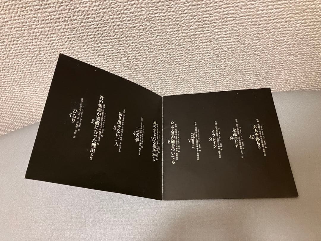 忍者 Hi La Ri たとえ君が嘘をついても収録 CD アルバム