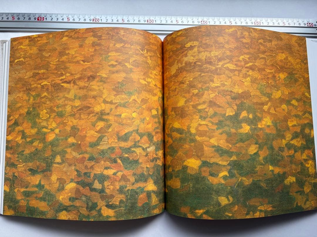 手塚雄二作品集　2冊　図録　大型本画集　日本画　絵画　素描