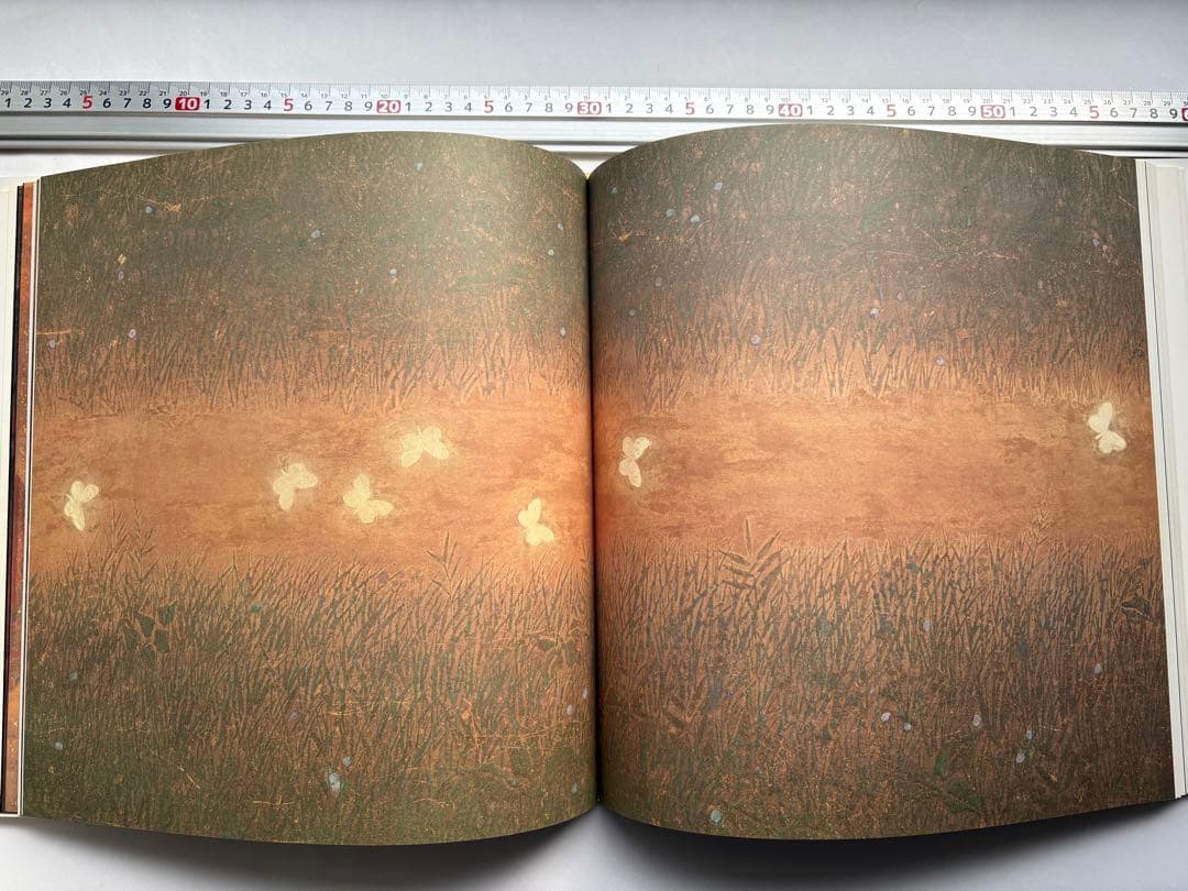 手塚雄二作品集　2冊　図録　大型本画集　日本画　絵画　素描