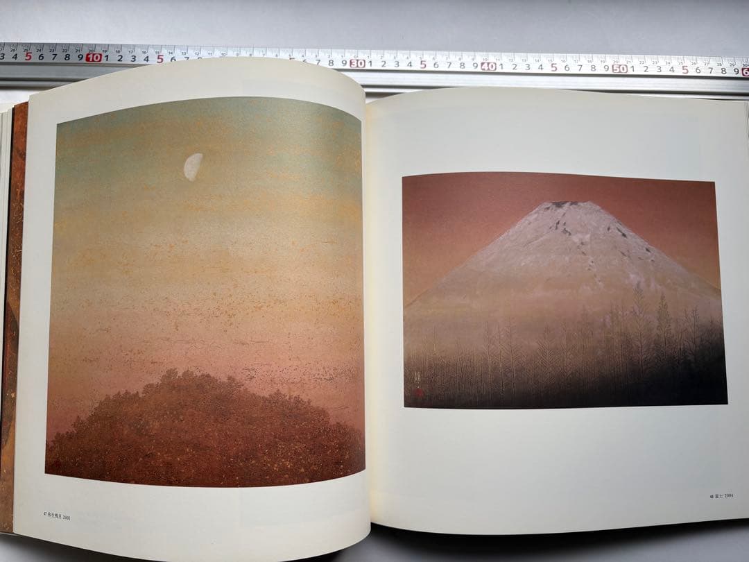 手塚雄二作品集　2冊　図録　大型本画集　日本画　絵画　素描