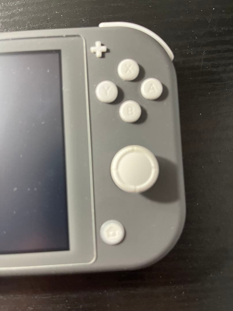 グレーの Nintendo Switch Lite、充電器 付き 大和桜