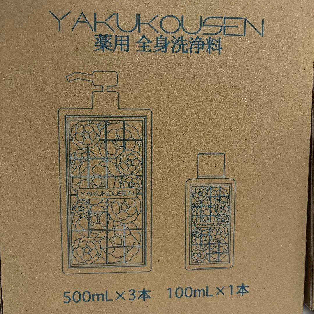 薬用全身洗浄料 (500mL×3本 + 100mL×1本)×２箱