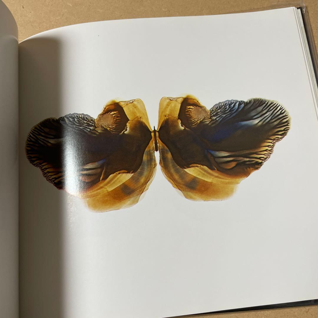 扉をあけると 牛腸茂雄