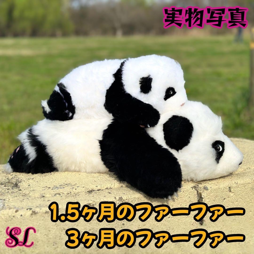 パンダ　リアルぬいぐるみ 3ヶ月パンダ　高級ぬいぐるみ　ファファ