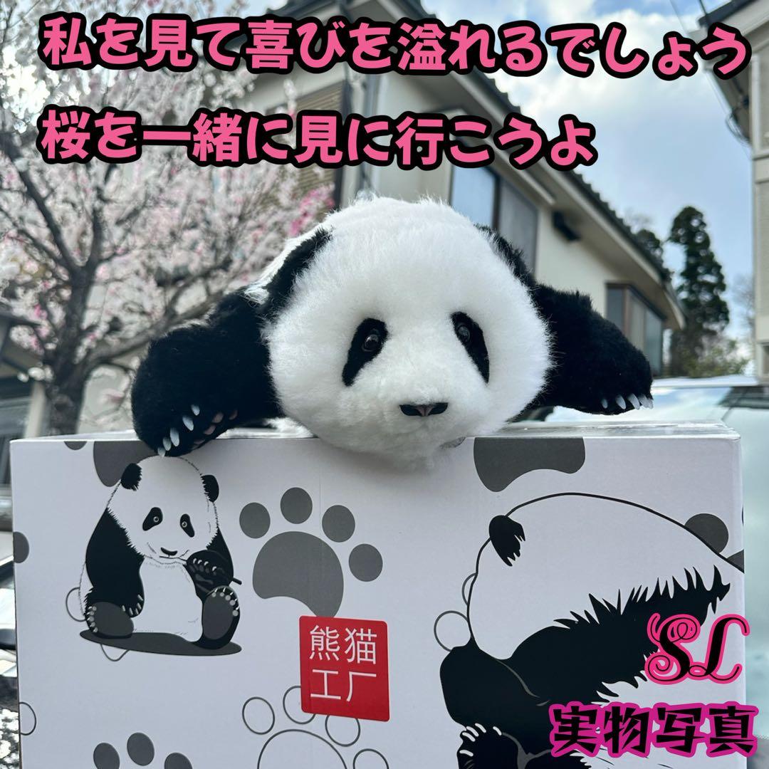 パンダ　リアルぬいぐるみ 3ヶ月パンダ　高級ぬいぐるみ　ファファ