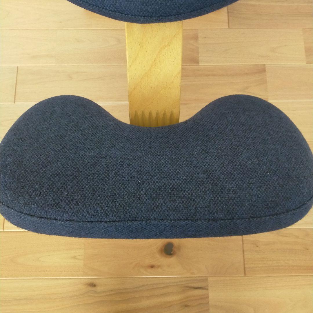 バランスイージー サカモトハウス ネイビー balansEasy バランスラボ