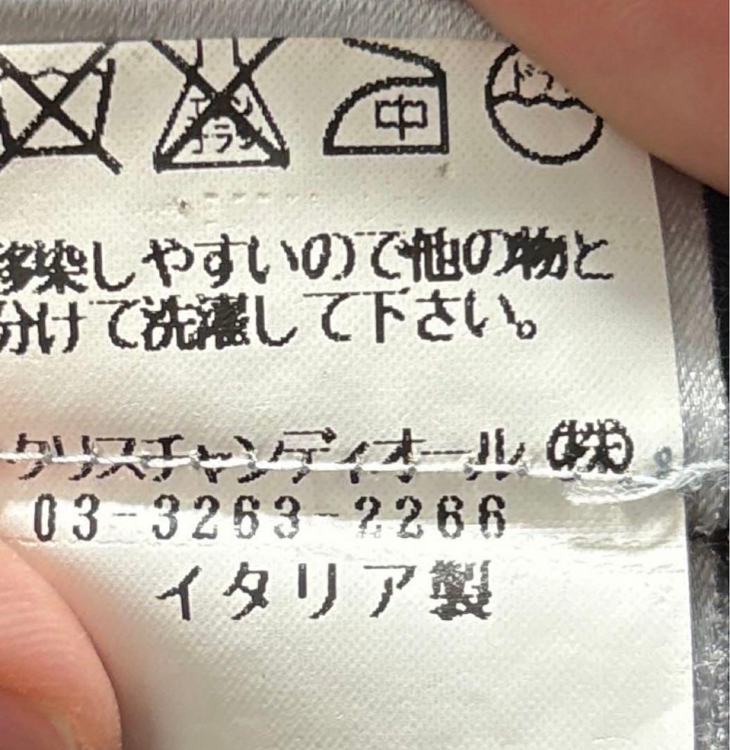 Dior homme エディ期