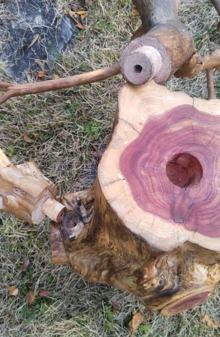 バードアスレチック　鳥用止まり木