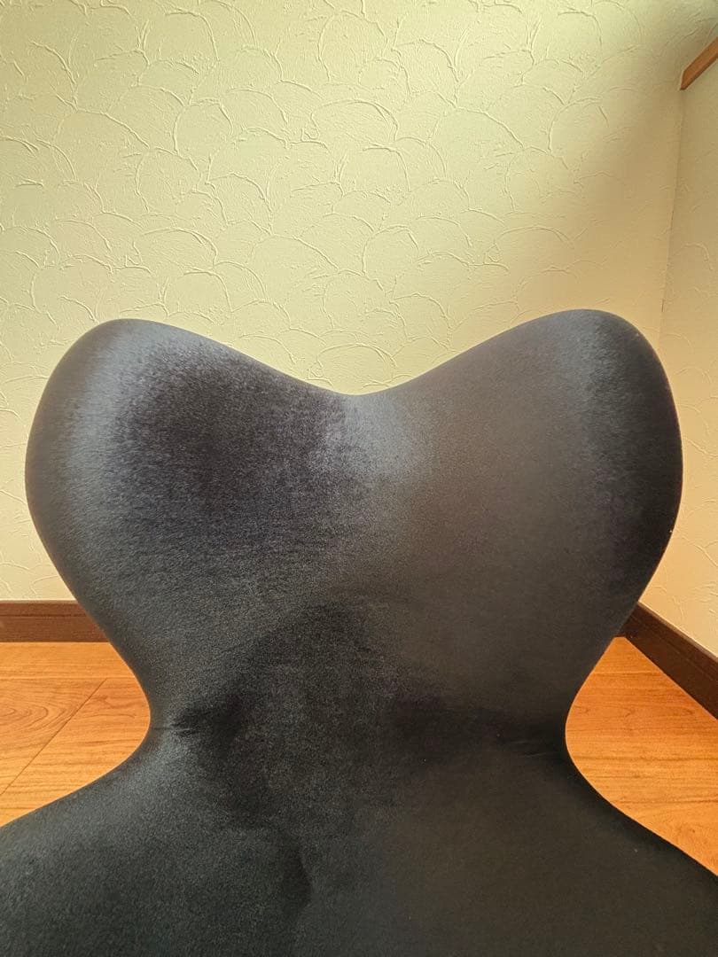 美品 Style PREMIUM DX スタイルプレミアムデラックス　ブラック