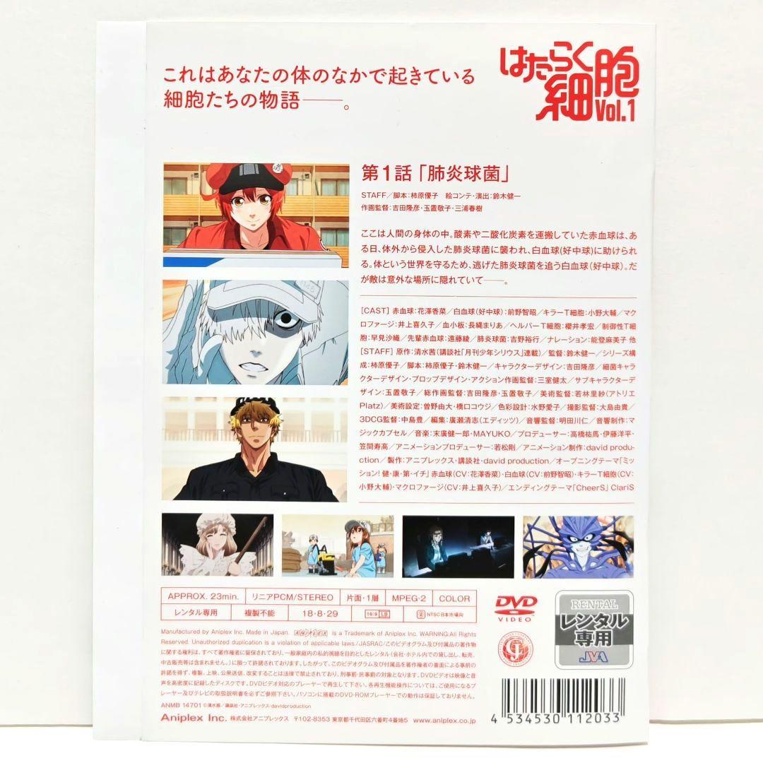 はたらく細胞 特別編 DVD 全巻 セット アニメ 清水茜