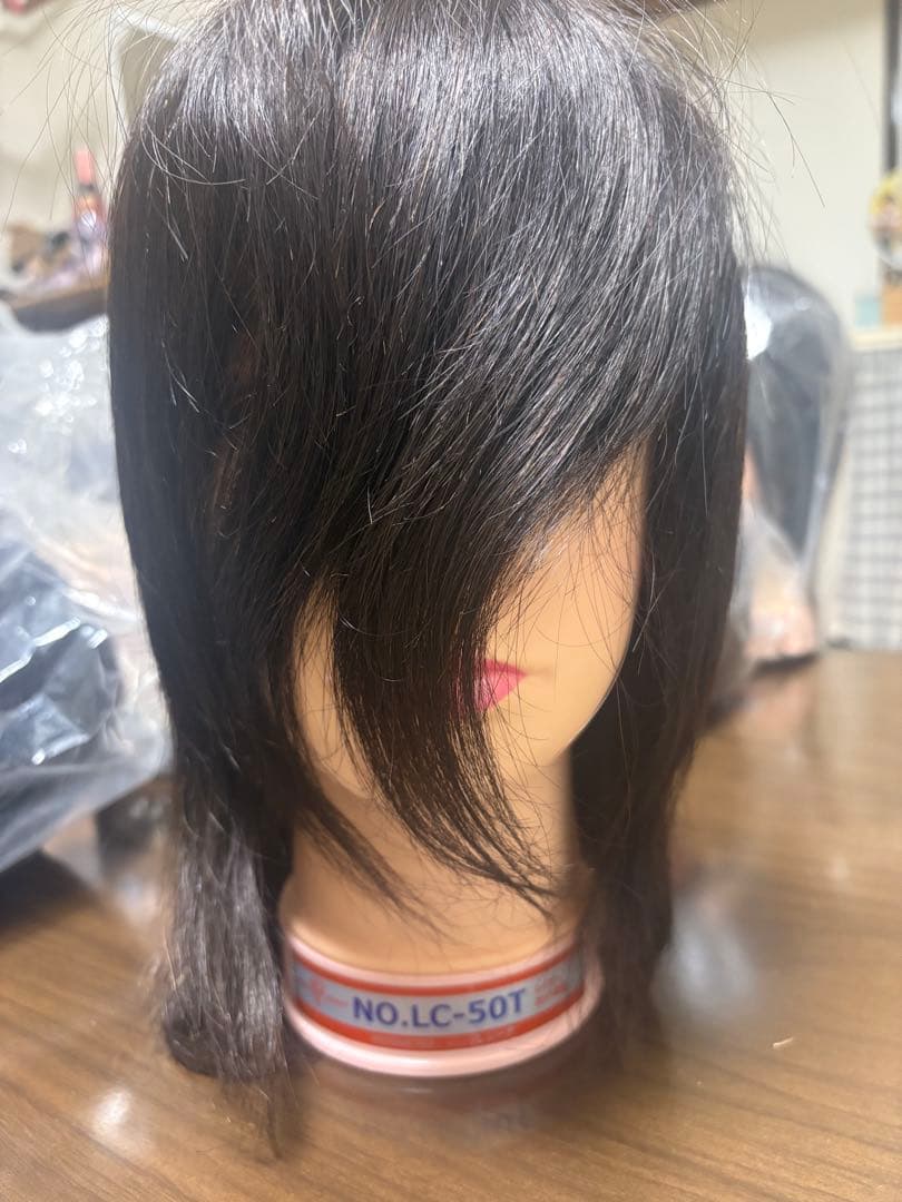 カットマネキン 10体セット （国家試験仕様2体・レイヤー練習用8体）