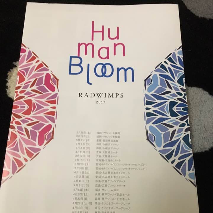RADWIMPSライブ  冊子？  物販の値段書いてあります