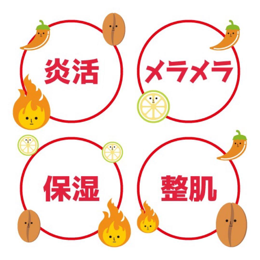 貼るプロジェクト ハロー!ハロー! 炎-pita 12セット新品未使用 4ヶ月分