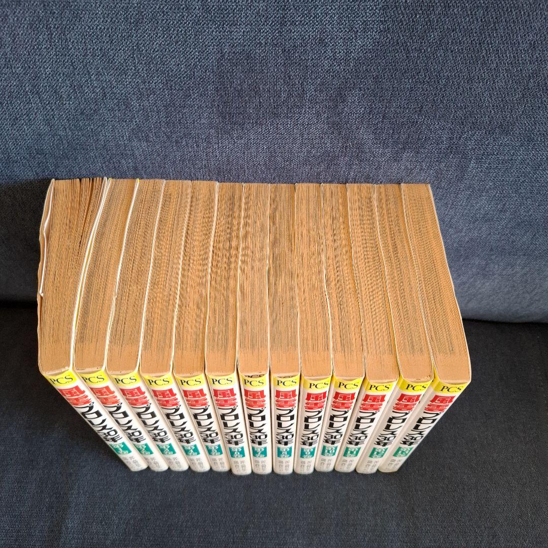 風雲プロレス30年 全13巻セット