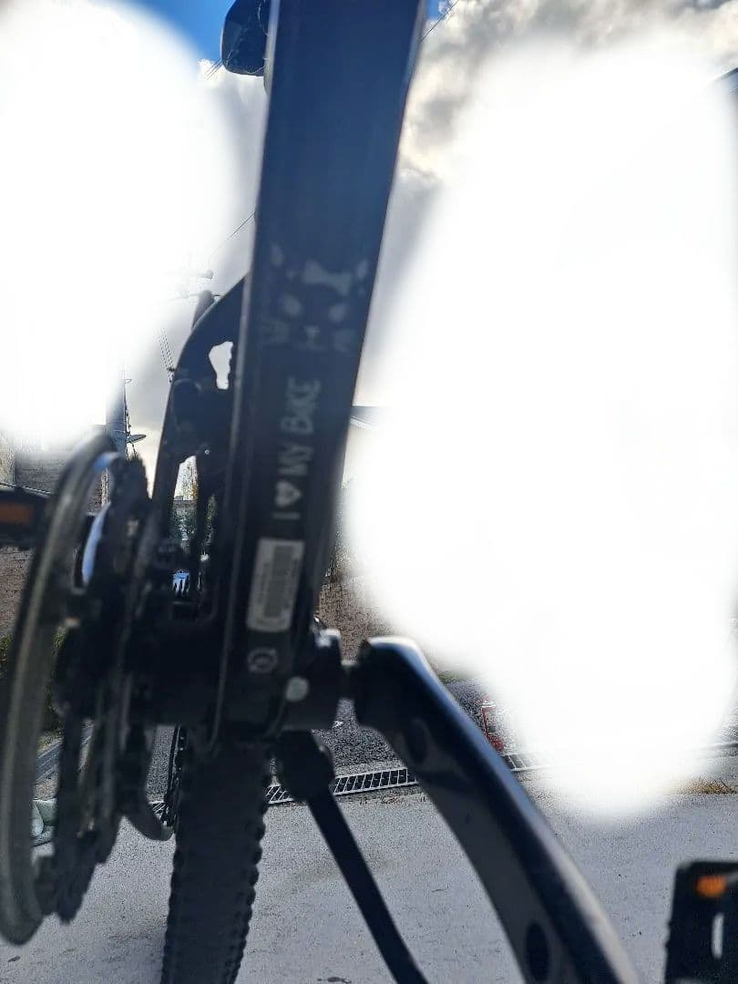 Trek マウンテンバイク 猫のステッカー付き