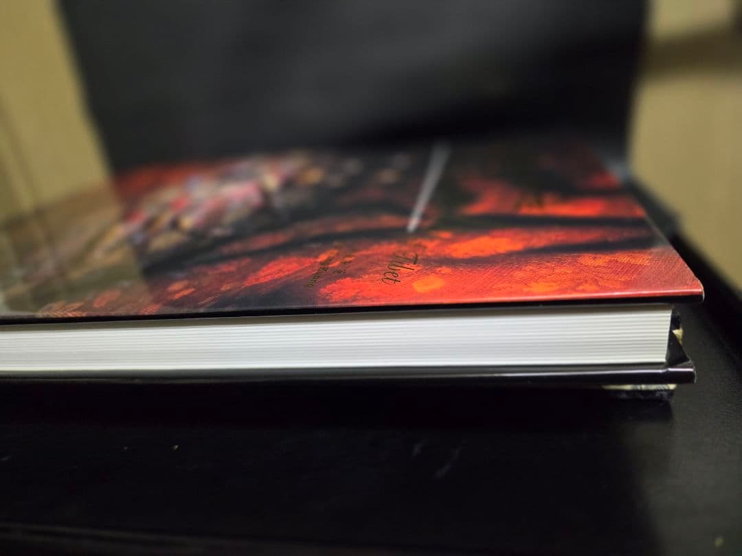 050 The Gzi Beads of Tibet【超希少品】西藏天珠本　！