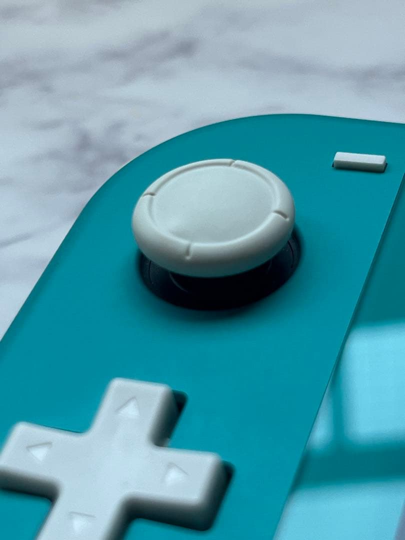 Nintendo Switch Lite ターコイズ 本体　カバー付き