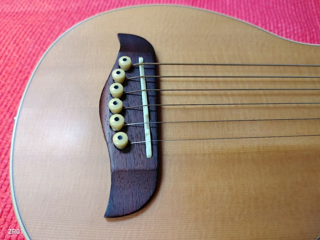 Wohler Rover R010 トラベルギター