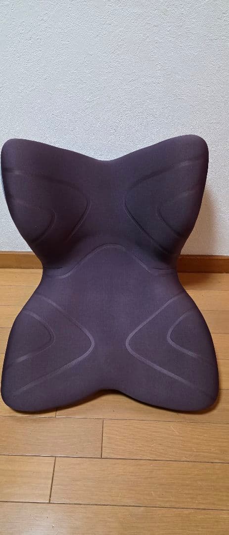 矯正用品・補助ベルト Style PREMIUM