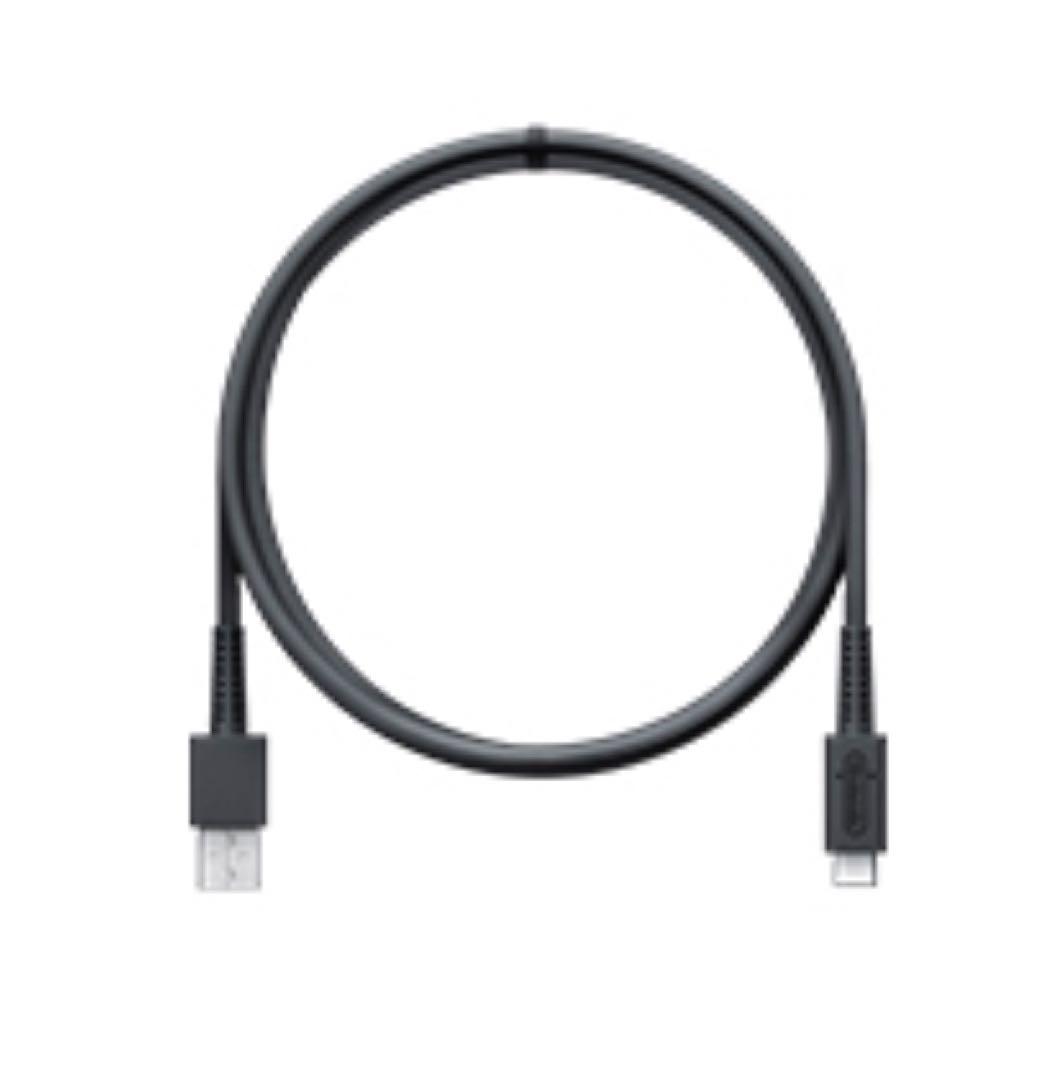 Switchと充電器と桃鉄