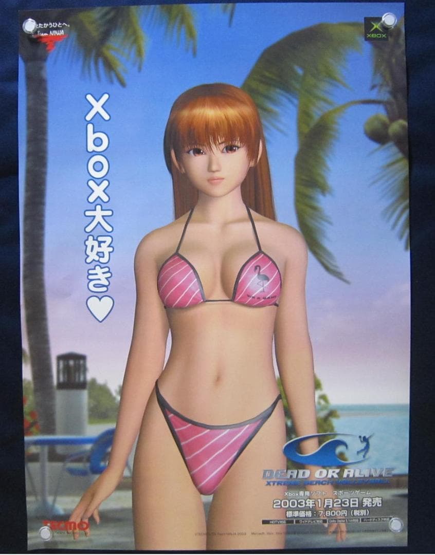 デッドオアアライブ エクストリーム ビーチバレーボール B2ポスターB