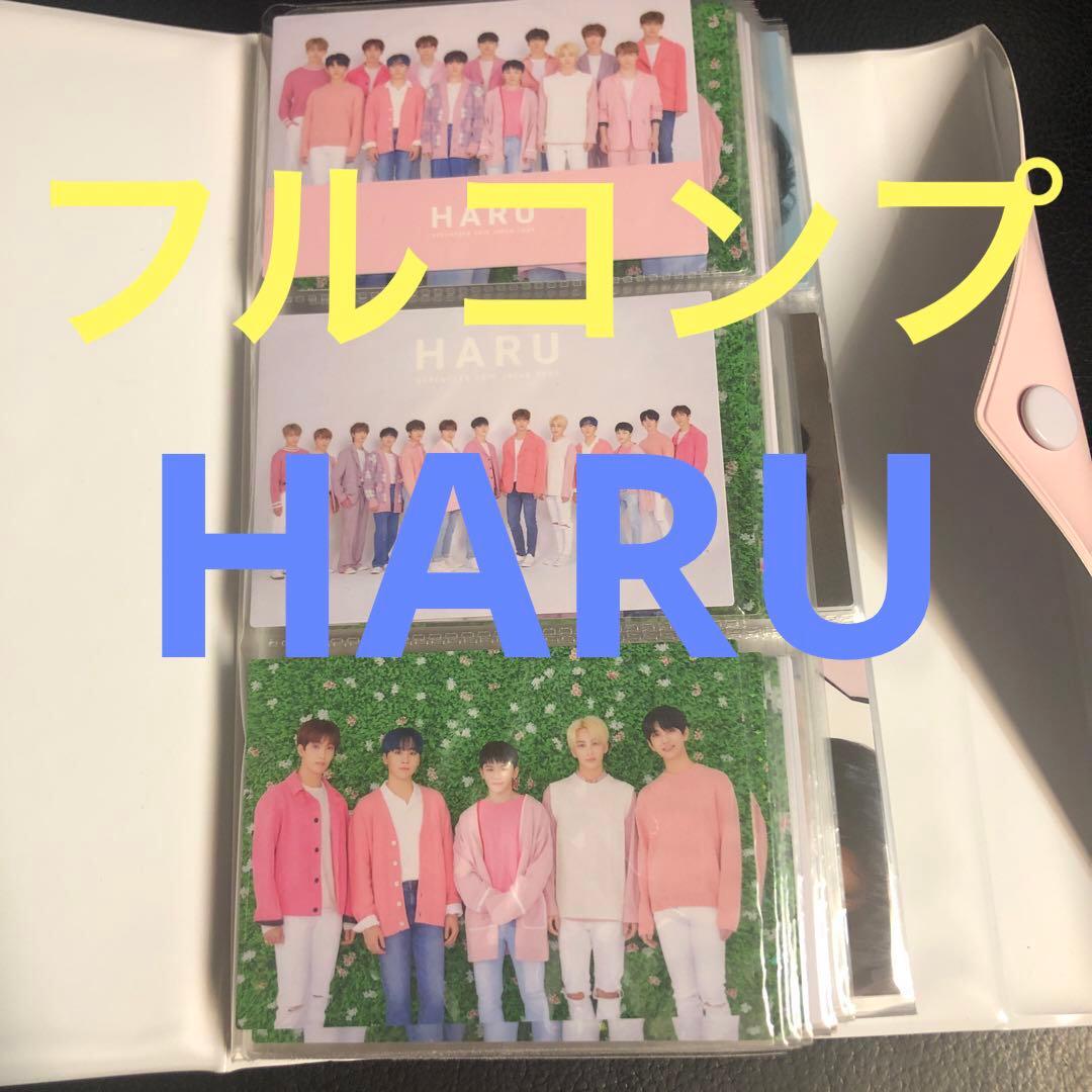 HARU ハルコン トレカ フルコンプ SEVENTEEN